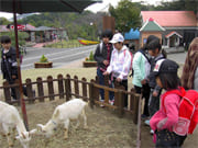 遠足