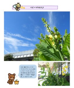 小嶺児童館　ベビーマラカス♪